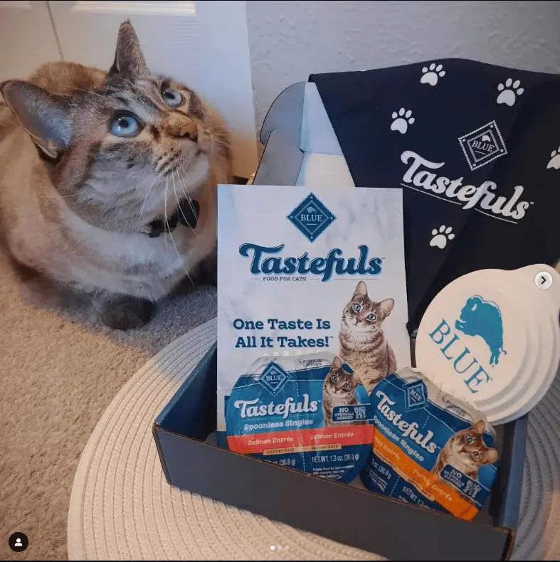 Blue Buffalo Tastefuls sample box displayed next to cat